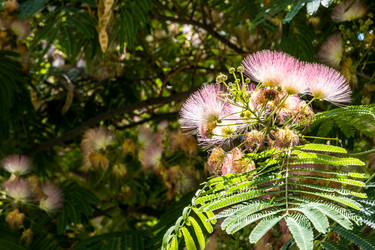 Similar image 21899349