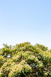 Similar image 21899351