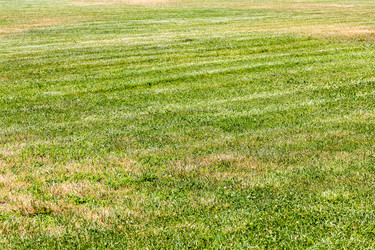 Similar image 21899353