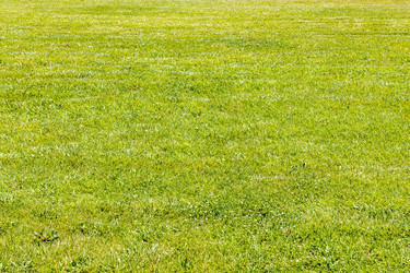 Similar image 21899355