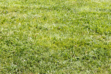 Similar image 21899357