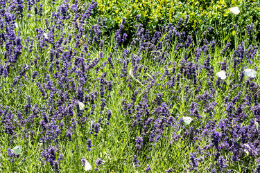 Similar image 21899365