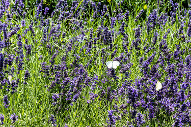 Similar image 21899367