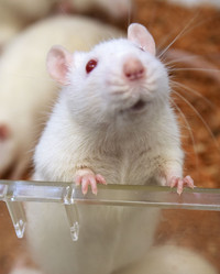 Similar image 21899394