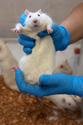 Similar image 21899395