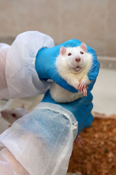 Similar image 21899396