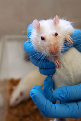 Similar image 21899397