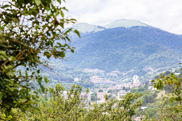 Similar image 21900156