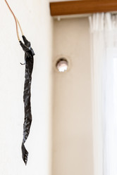 Similar image 21900157