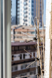 Similar image 21900181