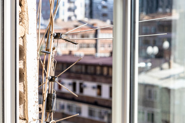 Similar image 21900185