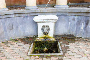 Similar image 21900194