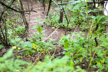 Similar image 21900200