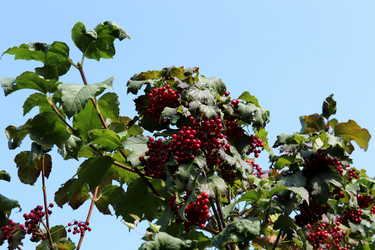 Similar image 21899667