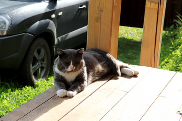 Similar image 21899668