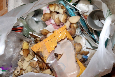 Similar image 21899672