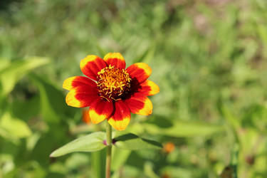 Similar image 21899673