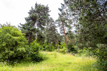 Similar image 21900208