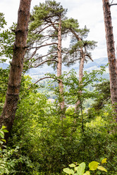 Similar image 21900212