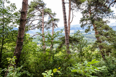 Similar image 21900216