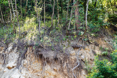 Similar image 21900223