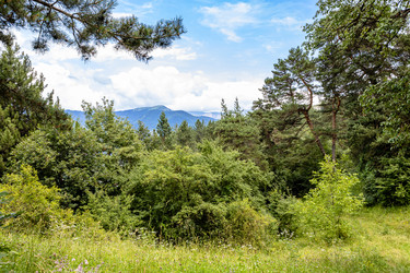 Similar image 21900224