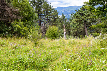 Similar image 21900240