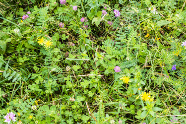 Similar image 21900488