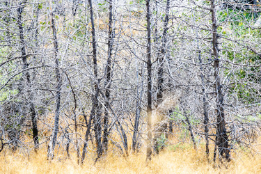 Similar image 21900496