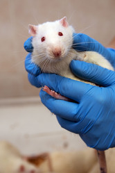 Similar image 21899584