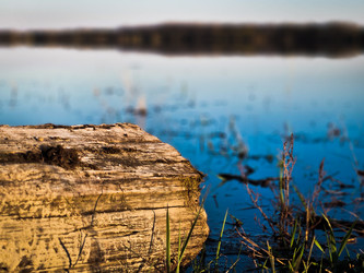 Similar image 21899587