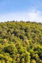 Similar image 21899993