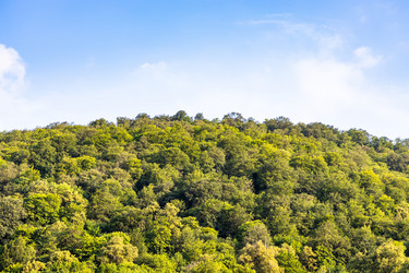 Similar image 21899994