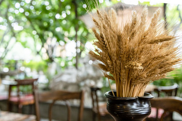 Similar image 21900016