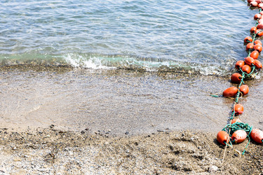 Similar image 21900245