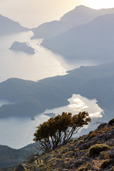 Similar image 21907886