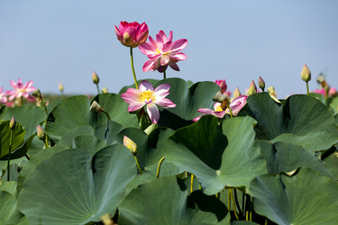 Similar image 21907887