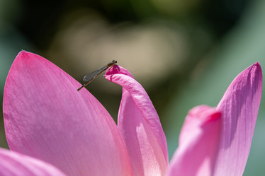 Similar image 21907888