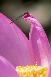 Similar image 21907890