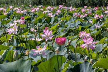 Similar image 21907891