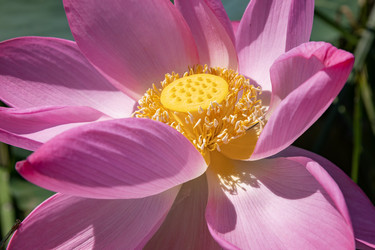 Similar image 21907893