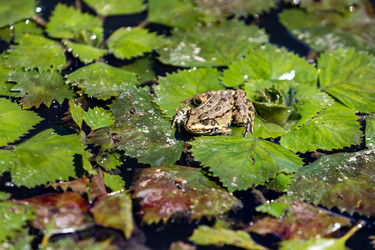 Similar image 21907894