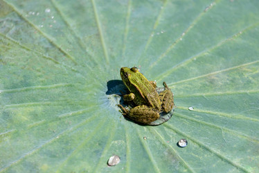 Similar image 21907905