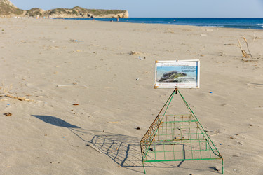 Similar image 21907911