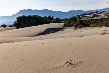 Similar image 21907912