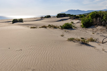 Similar image 21907913