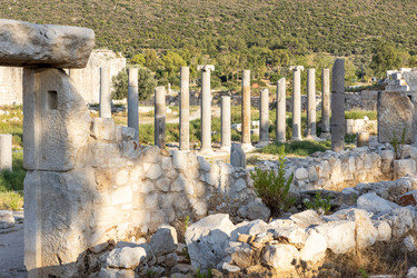 Similar image 21907915