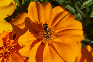 Similar image 21904774