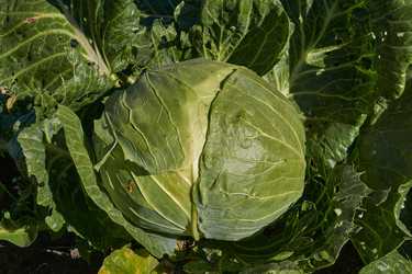 Similar image 21904775