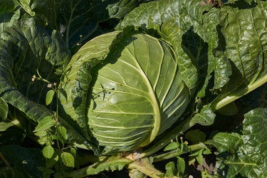 Similar image 21904777